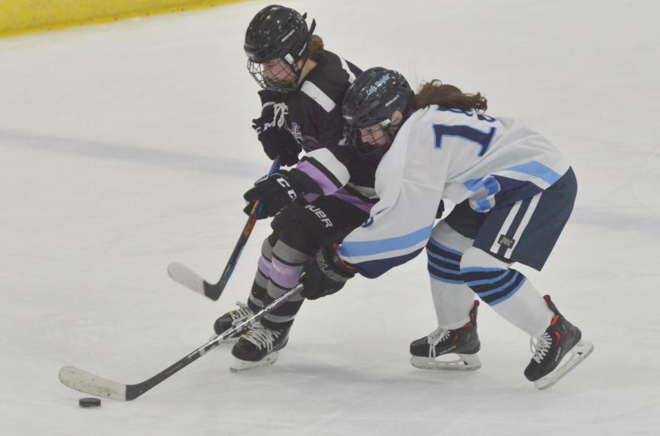 Cape Cod Furies' Morgan Willis, left, bumps into Sandwich's Casey Pestilli as they skate down the ice in a second period play.
(Photo: Merrily Cassidy/Cape Cod Times)