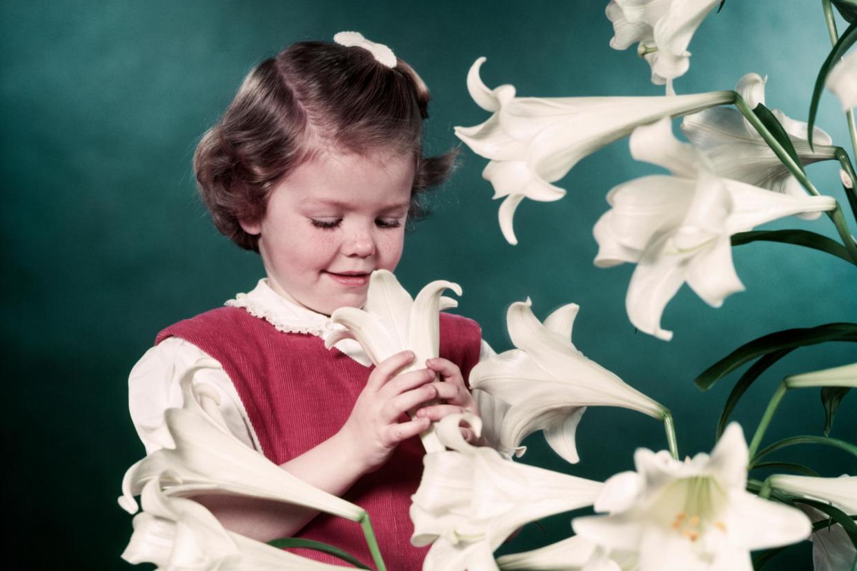 <span>Fragrant plants are beautiful and smell good.</span><span>Photograph: H Armstrong Roberts/ClassicStock via Getty Images</span>
