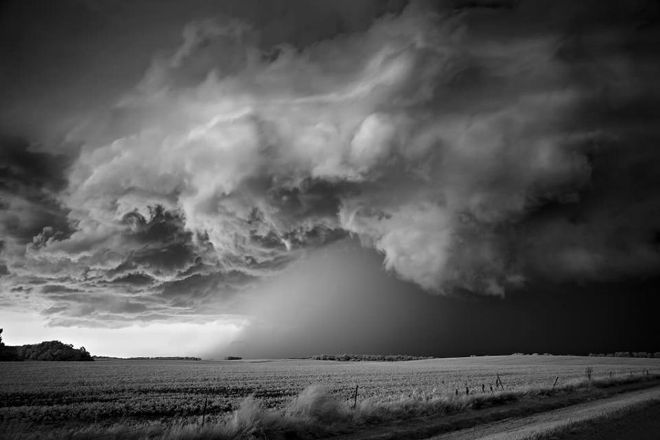 Mitch Dobrowner