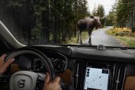 <p>With a pledge to end fatalities in its new models by 2020, much of the new tech in the S90 is aimed at avoiding crashes. One new trick: the automatic emergency detection system can now recognize large, slow-moving animals and slow the car automatically to avoid a collision. </p>