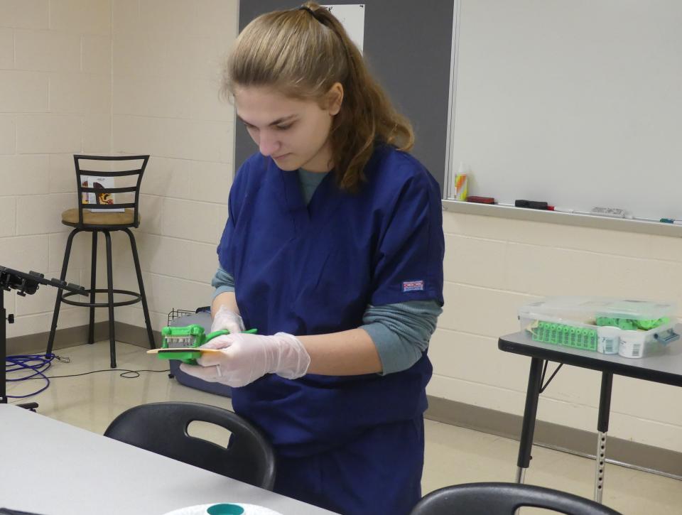 Mckenzie Hettinger learns to tattoo a pig ear in the veterinary assisting program.