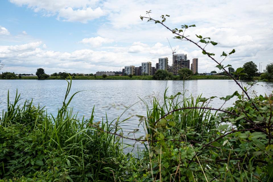 Walthamstow Wetlands (Daniel Hambury/Stella Pictures Ltd)