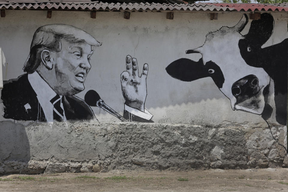 Mural depicting US President Donald Trump is seen on a wall as part of Mural Festival in the village of Staro Zhelezare, Bulgaria, Wednesday 26 July 2017.&nbsp;