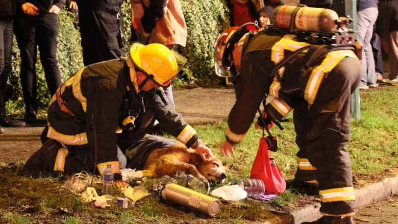 Dog thought to be dead brought back to life by Vancouver firefighters