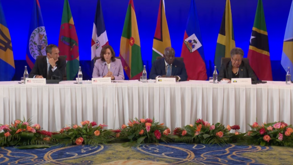 Vice President Kamala Harris (second from left) addresses the U.S.-Caribbean Leaders Meeting aside other world leaders in Nassau, Bahamas, on June 8. (Photo: Screenshot/YouTube.com/White House)