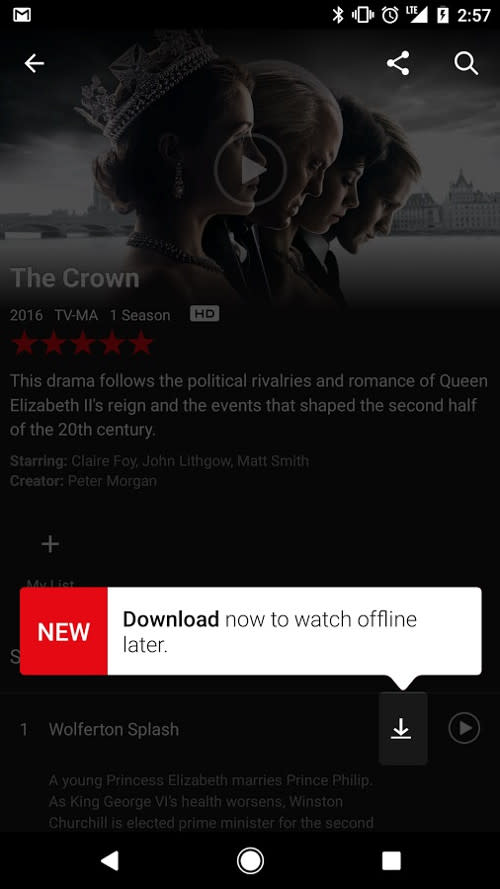 Netflix now allows subscribers to download videos to watch later without an internet connection