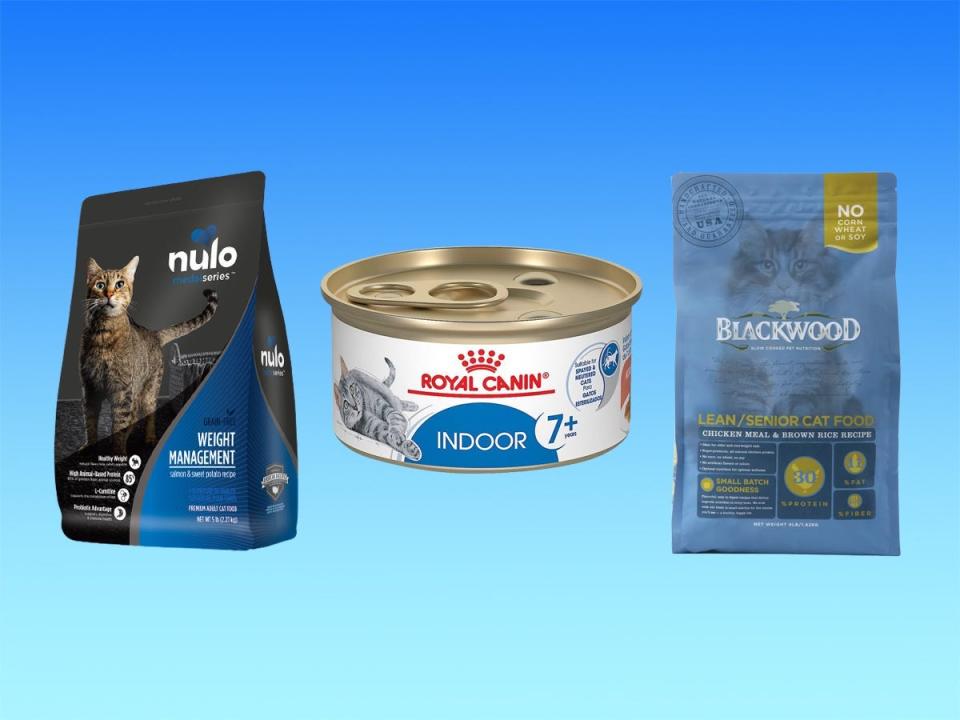 Two bags and a can of weight loss food for senior cats from Nulo, Royal Canin, and Blackwood against a blue gradient background.