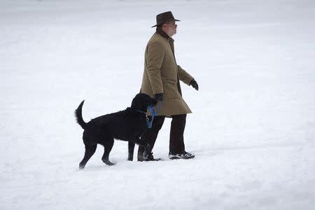 A man walks a dog in Central Park following Winter Storm Juno in the Manhattan borough of New York January 27, 2015. REUTERS/Carlo Allegri