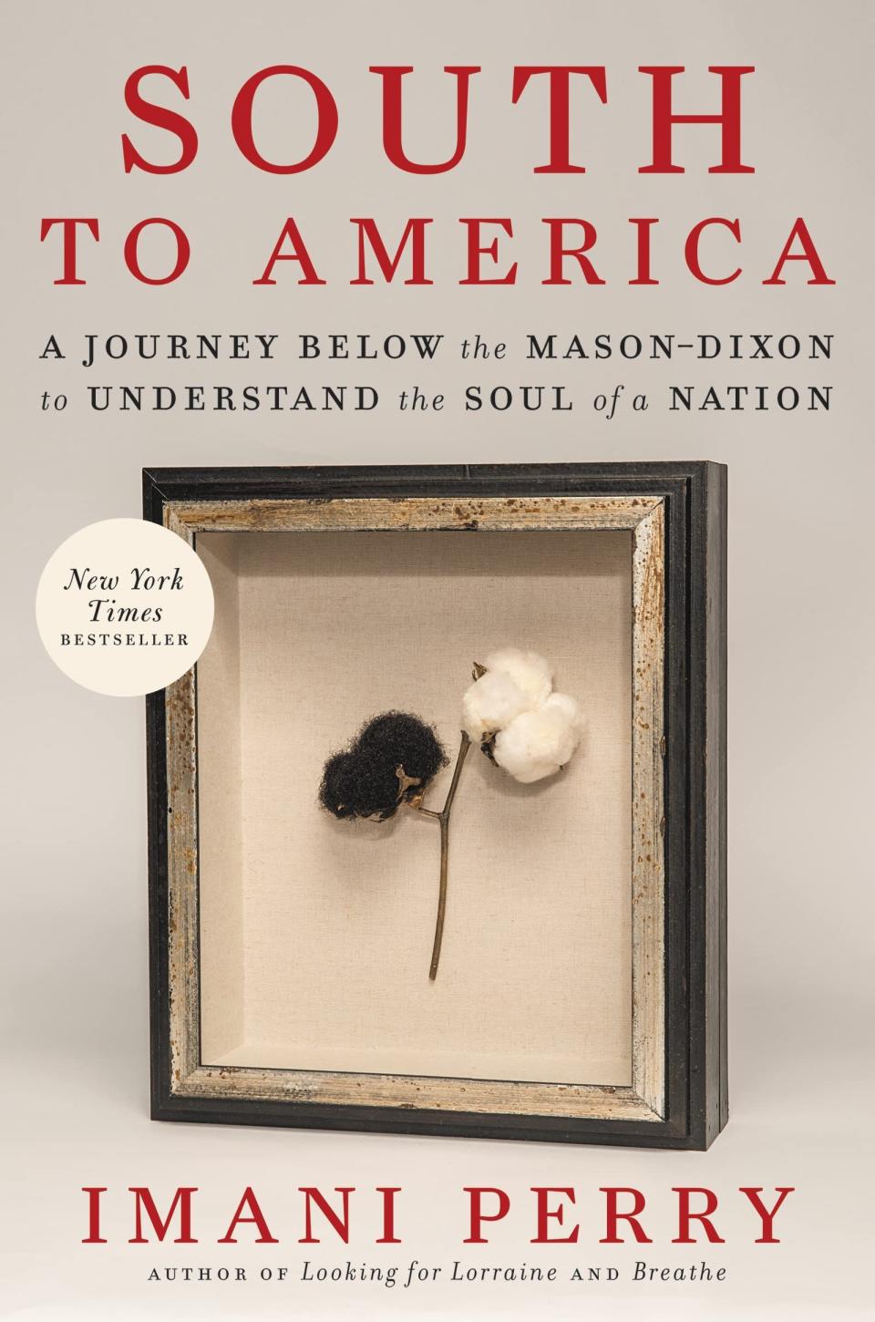 6) <i>South to America</i>, by Imani Perry