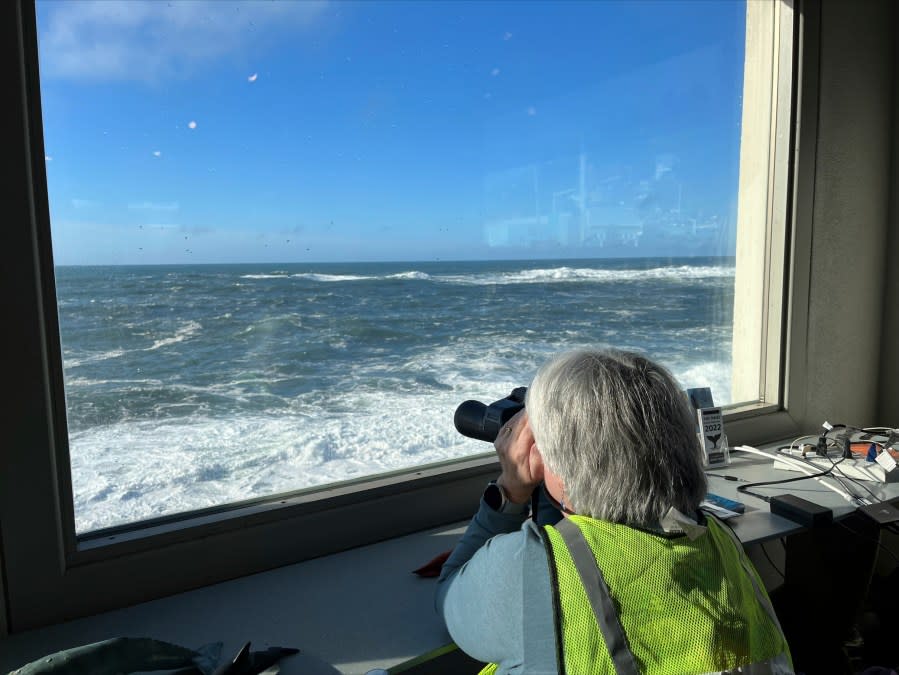 <em>This photo provided by the Oregon Parks and Recreation Department shows a Whale Watch Week volunteer try to spot gray whales with binoculars from the Whale Watch Center in Depoe Bay, Ore., on Wed., Dec. 28, 2022. (Stefanie Knowlton/Oregon Parks and Recreation Department via AP)</em>