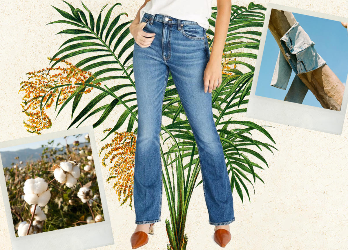 Warp + Weft Well MIA Plus High Rise Flare Jeans - Well