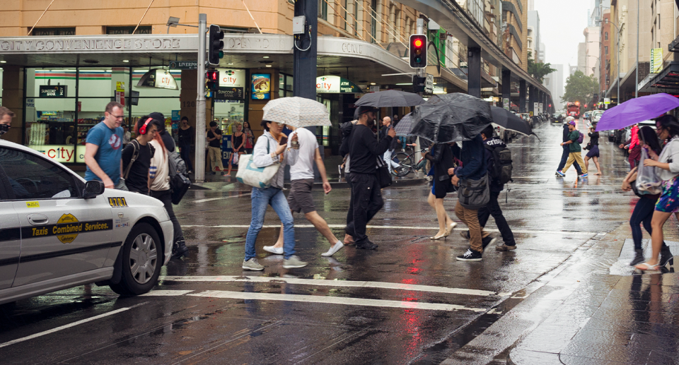 People donning umbrellas in Sydney in wet weather. 