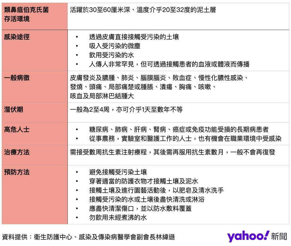 類鼻疽簡介