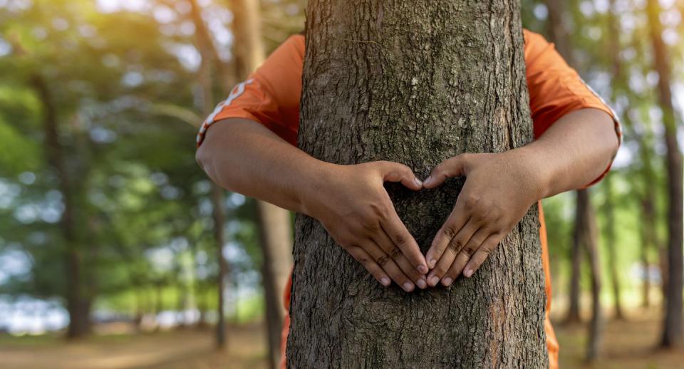 person hugging a tree with their hands forming a heart for earth day in april