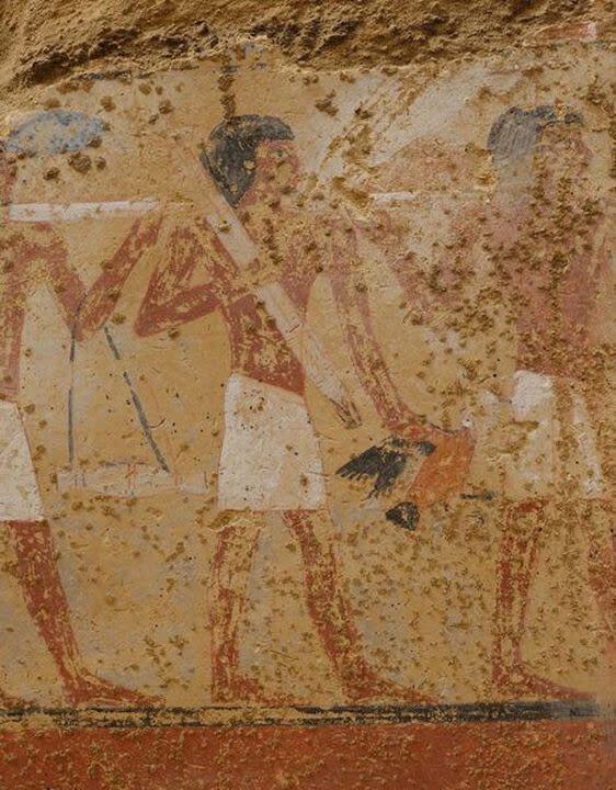 La serie de pinturas que datan del 2300 a.C y que descubrieron en una tumba oculta en el sur de Egipto