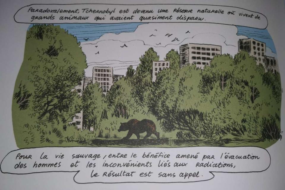 « Paradoxalement, Tchernobyl est devenu une réserve naturelle où vivent de grands animaux qui avaient quasiment disparu », écrivent Jean-Marc Jancovici et Christophe Blain page 140.