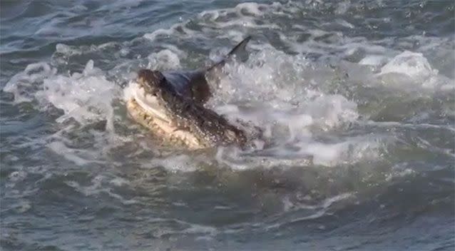 A giant saltwater croc approached as two Perth mates threw fish scraps off their boat. Source: 7 News