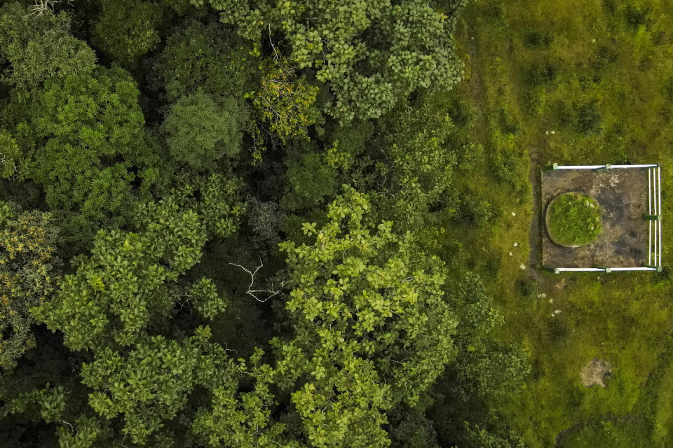 A sacrificial altar where ceremonies are still performed every year sits right outside a sacred forest in Khasi Hills in Meghalaya, a state in northeastern India, Friday, Sept. 8, 2023. (AP Photo/Anupam Nath)