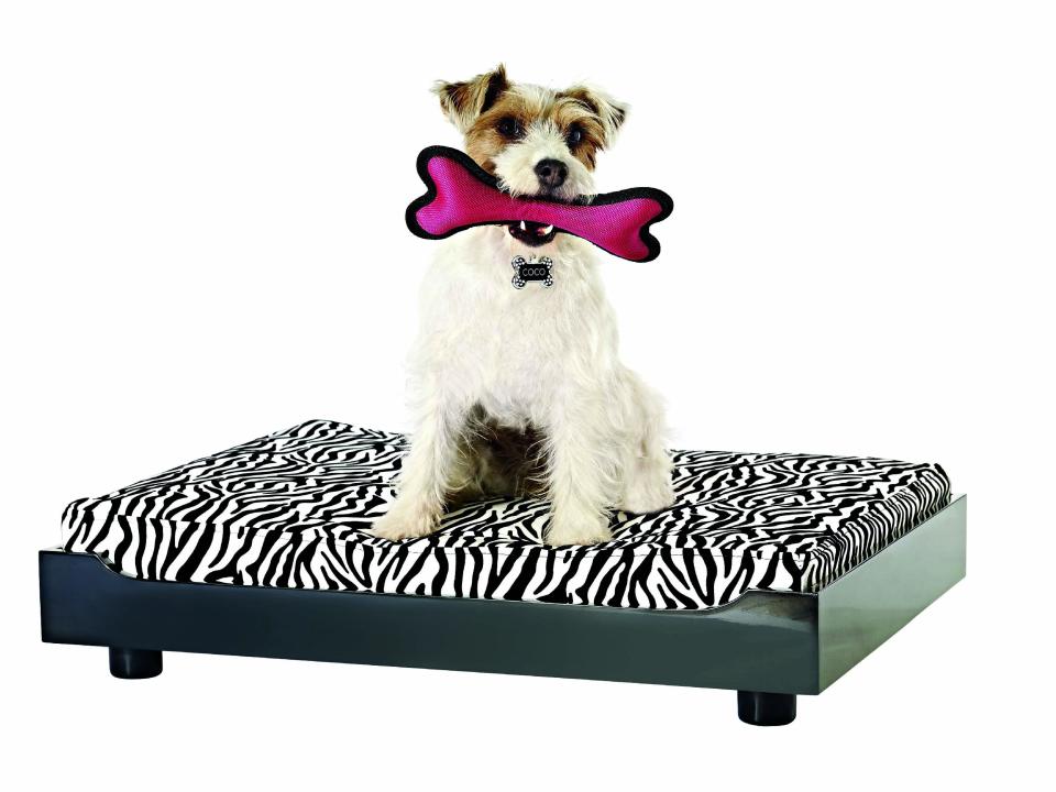 This product publicity photo provided by HomeGoods, Inc. shows a squeaky rubber dog bone. Interactive toys that squeak when held are entertaining for dogs. The key is to rotate the selection; like children, pets get bored when the same toys are always out. Taking away and reintroducing toys keeps dogs and cats engaged (www.homegoods.com). (AP Photo/HomeGoods, Inc.)