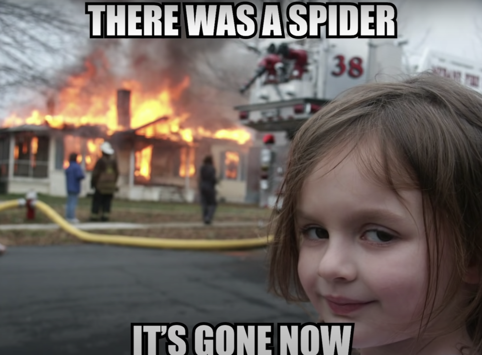 Young girl smiling mysteriously at the camera as a house burns in the background, with the text, "There was a spider; it's gone now"