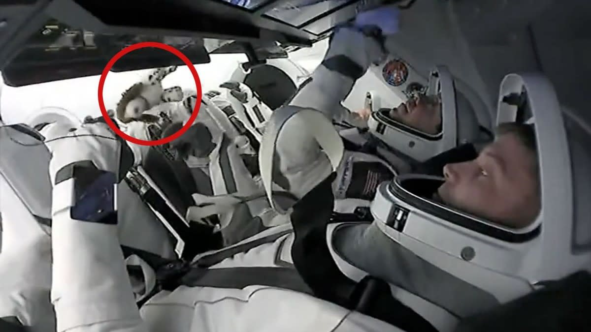  A plush dog floats among four astronauts in white spacesuits in a white spacecraft capsule. 