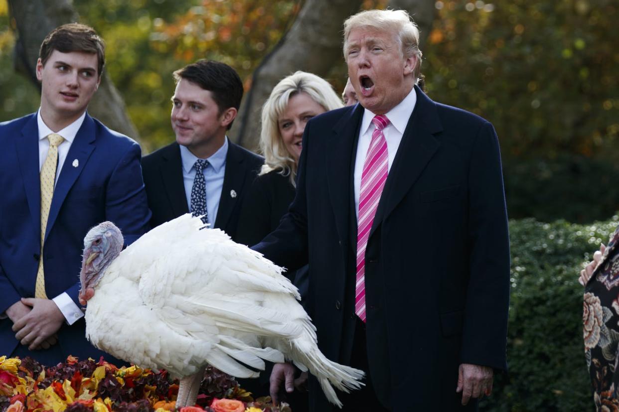 <span class="caption">Who else will Trump save from the chop before leaving office?</span> <span class="attribution"><a class="link " href="https://newsroom.ap.org/detail/TrumpThanksgiving/546316aedd4a4691a74ba8684df637b5/photo?Query=trump%20turkey%20pardon&mediaType=photo&sortBy=arrivaldatetime:asc&dateRange=Anytime&totalCount=208&currentItemNo=37" rel="nofollow noopener" target="_blank" data-ylk="slk:AP Photo/Evan Vucci;elm:context_link;itc:0;sec:content-canvas">AP Photo/Evan Vucci</a></span>