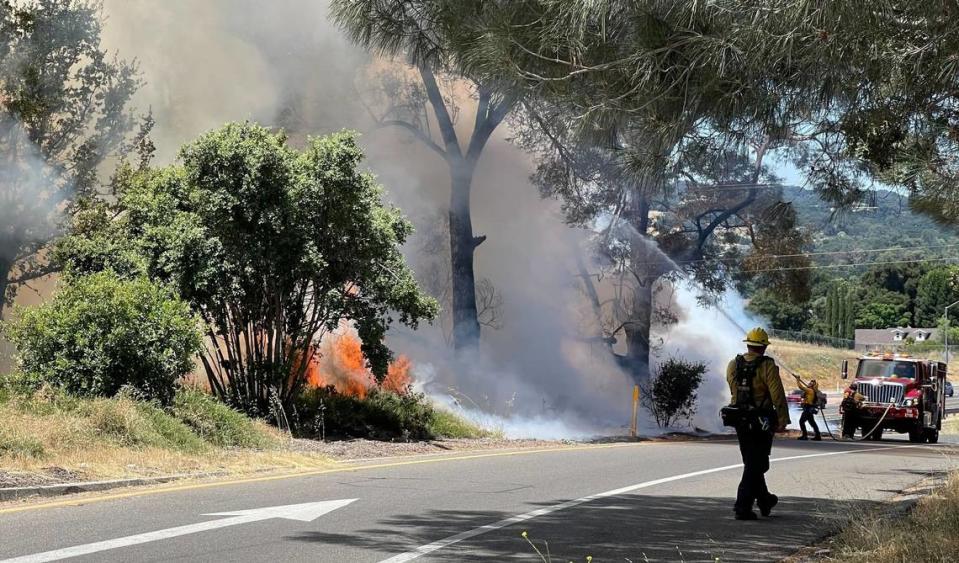 Firefighters battle a vegetation fire that sparked along Highway 101 near the San Anselmo Road overpass and spread from grass to trees, burning two acres and backing up traffic on July 15, 2023. Joe Tarica