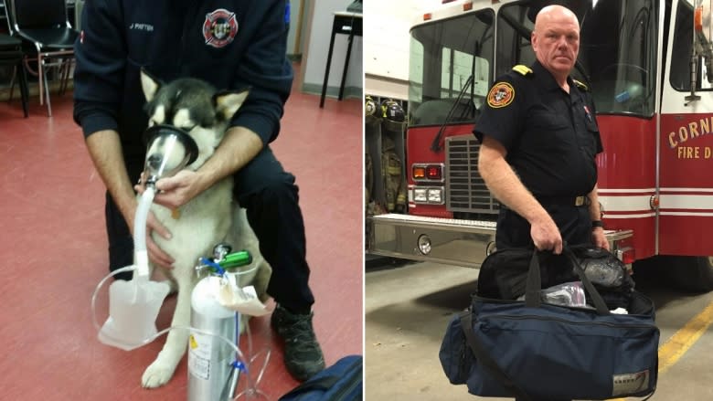 Furry friends need saving too: Corner Brook firefighters get pet oxygen masks