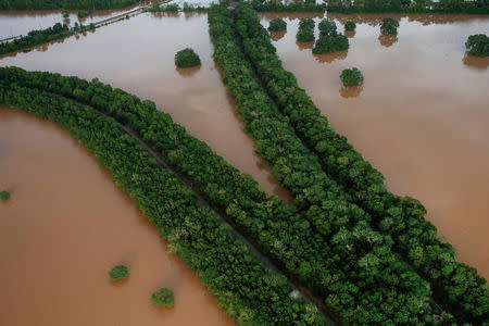 Railway lines are seen surrounded by flood waters caused by Tropical Storm Harvey near Sandy Point, Texas, U.S. August 30, 2017. REUTERS/Adrees Latif