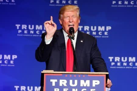 Republican presidential nominee Donald Trump speaks after returning to the stage following a security incident, where he was hustled off the stage by security agents due to a perceived threat in the crowd, during a campaign rally in Reno, Nevada, U.S. November 5, 2016. REUTERS/Carlo Allegri