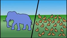 A drawing of one elephant on the left next to dozens of rabbits on the right.