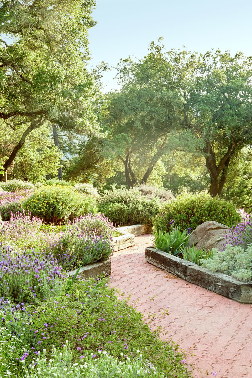 <p>The lush garden of this Napa Valley country cottage features handy herbs like lavender, and rosemary, as well as beautiful irises, and lush fruit trees.</p><p><strong><a href="https://www.countryliving.com/home-design/house-tours/g2470/bonnie-miller-california-cottage/" rel="nofollow noopener" target="_blank" data-ylk="slk:Read more about this Napa Valley cottage;elm:context_link;itc:0;sec:content-canvas" class="link ">Read more about this Napa Valley cottage</a>.</strong></p><p><a class="link " href="https://go.redirectingat.com?id=74968X1596630&url=https%3A%2F%2Fwww.etsy.com%2Flisting%2F784716980%2Frosemary-herb-rosmarinus-officinalis-arp&sref=https%3A%2F%2Fwww.countryliving.com%2Fgardening%2Fgarden-tours%2Fg1432%2Flandscaping-ideas%2F" rel="nofollow noopener" target="_blank" data-ylk="slk:SHOP ROSEMARY PLANTS;elm:context_link;itc:0;sec:content-canvas">SHOP ROSEMARY PLANTS</a></p>