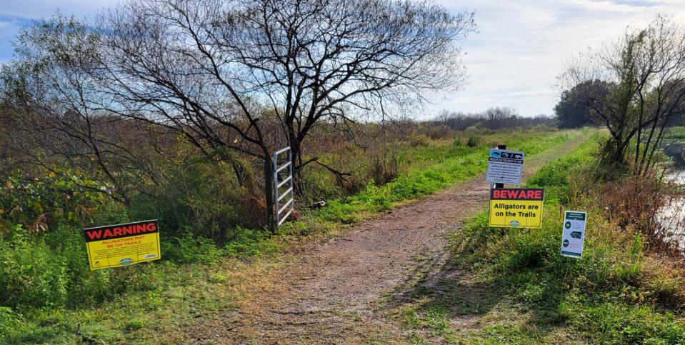 Signs at the western end of the Marsh Rabbit Run trail at Circle B Bar Reserve warn visitors that alligators might be present on trails at the county property.