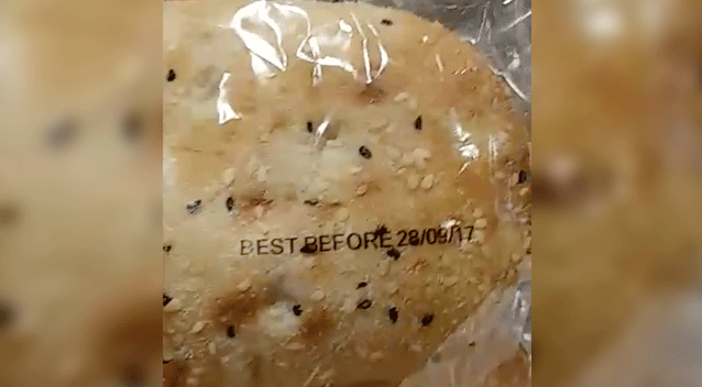 Mr Younes returned to the supermarket only to find more bread covered in mould despite being in date. Source: John Younes/ Facebook