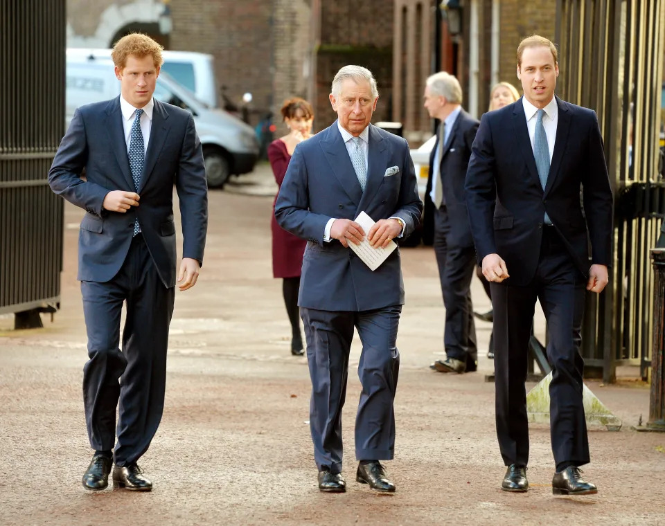 Prince Harry, King Charles, and Prince William arrive at the Illegal Wildlife Trade Conference at Lancaster House in London on February 13, 2014.