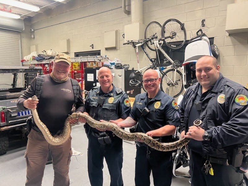 Officers from the Marco Island Police Department removed a 9-foot Burmese python from bushes near a home at Hideaway Beach Club.