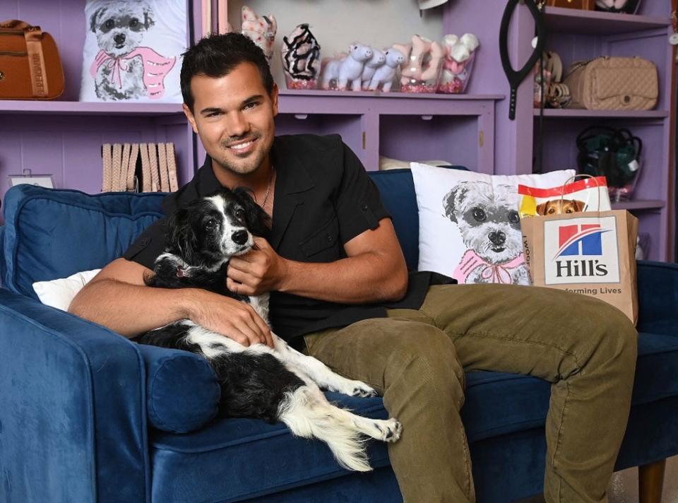 Taylor Lautner, Hills Clear the Shelters