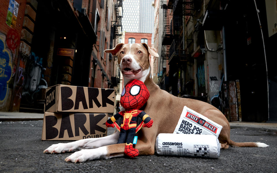 BarkBox spiderman box, black friday pet deals