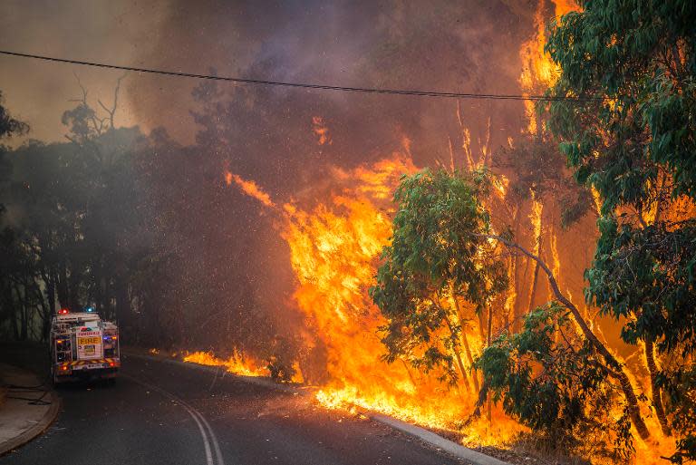 A wildfire along the edge of the road next to a firetruck in the Stoneville area, a suburb east of Perth in the state of Western Australia, is shown January 12, 2014 in this Department of Fire and Emergency Services photo