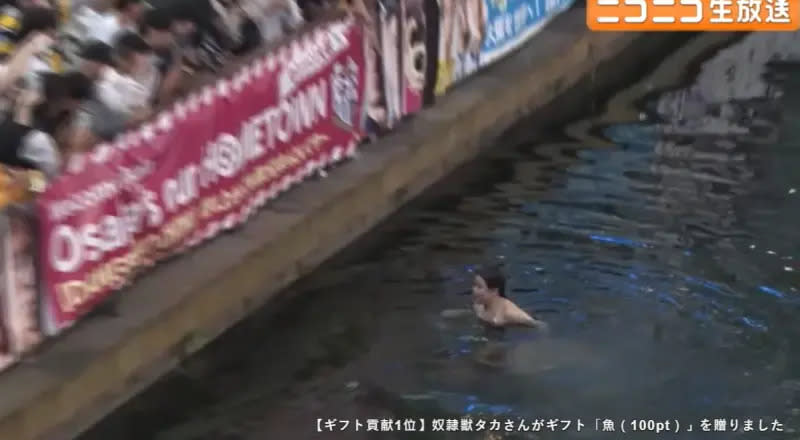 ▲阪神虎球迷提前準備好泳裝，在確定封王後跳入道頓堀川。（圖／取自nicovideo）