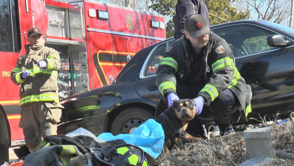 A Shreveport firefighter kneels over a dog rescued from a house fire on Sunday, January 23, 2022.