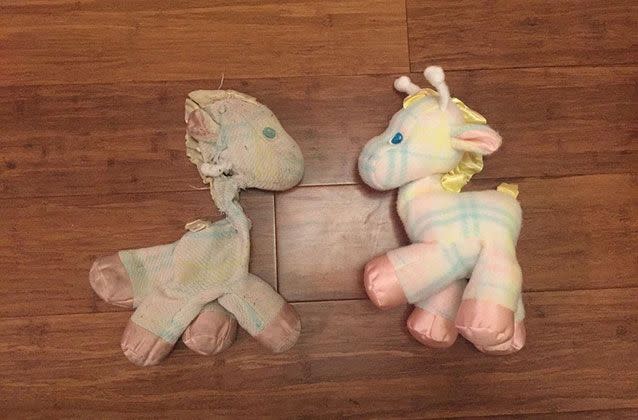 The primary school teacher recently shared a photo on Reddit of his beloved stuffed giraffe, Fraffy, alongside a new version. Picture: Picture: Nick Hollinger