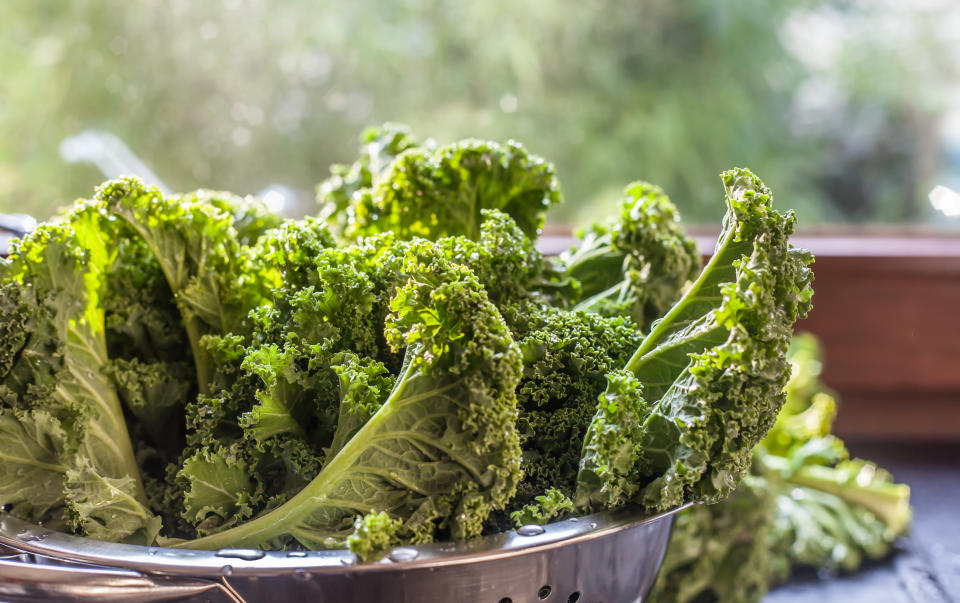 Washed kale colander  in the window light