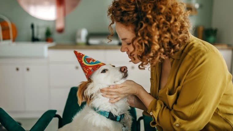 Signs You’re Codependent With Your Dog