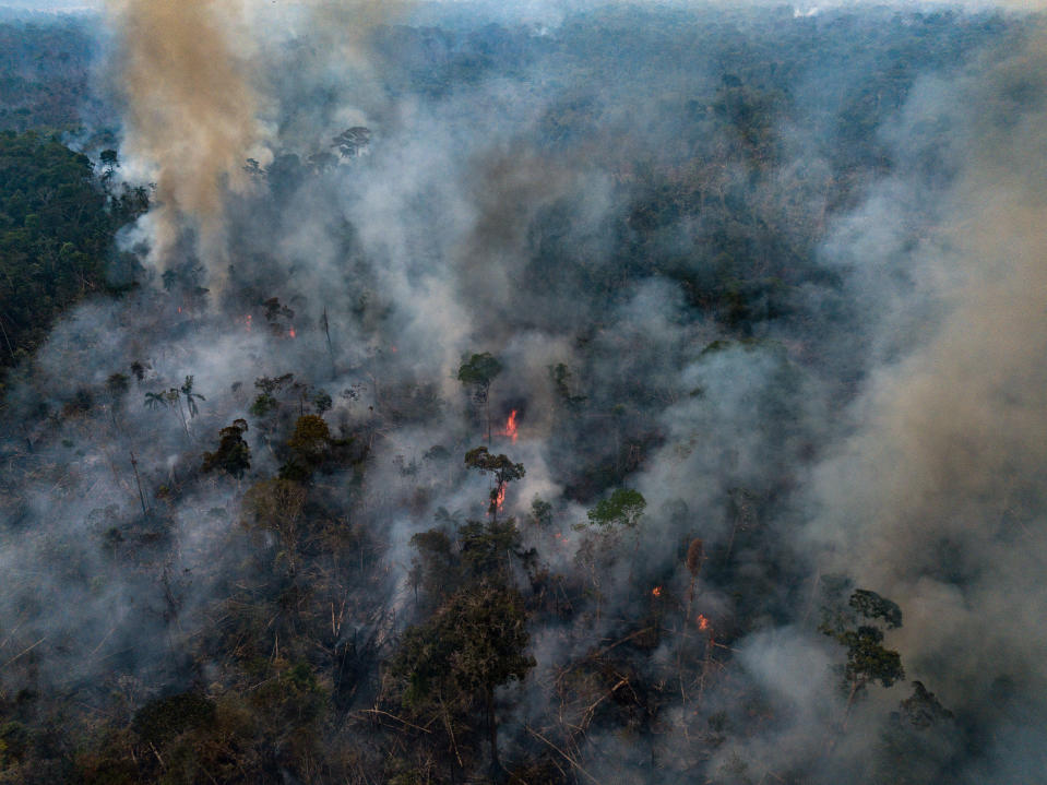 La selva amazónica ardiendo en Porto Velho, Brasil, el 13 de septiembre de 2019 (Victor Moriyama / The New York Times).