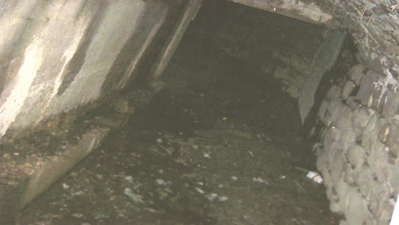 Tunnel vision: What's with the underground discovery at Bannerman Park?