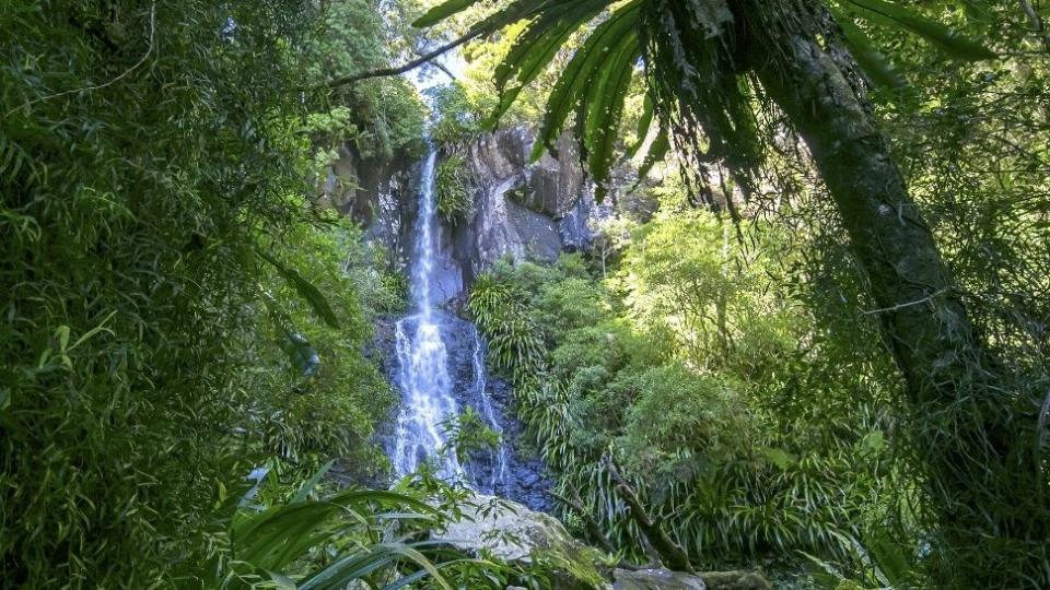 澳洲雷明頓國家公園（Lamington National Park）日前發生一起失足死亡意外。（翻攝自昆士蘭政府官網）