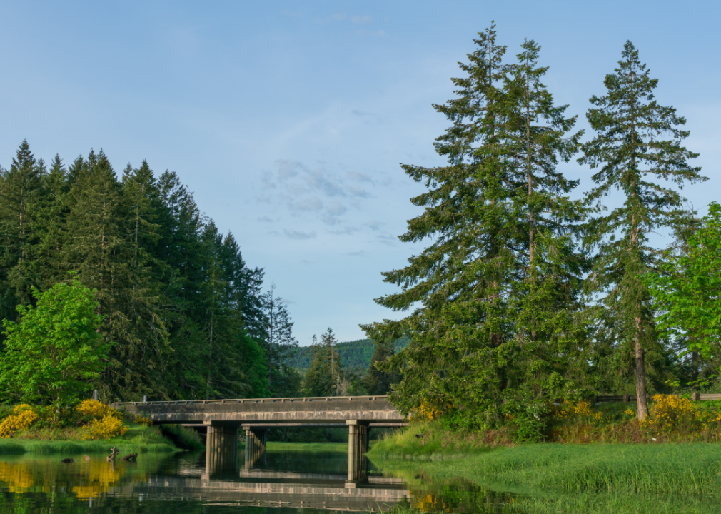 Bridge over Kennedy Creek in Shelton.