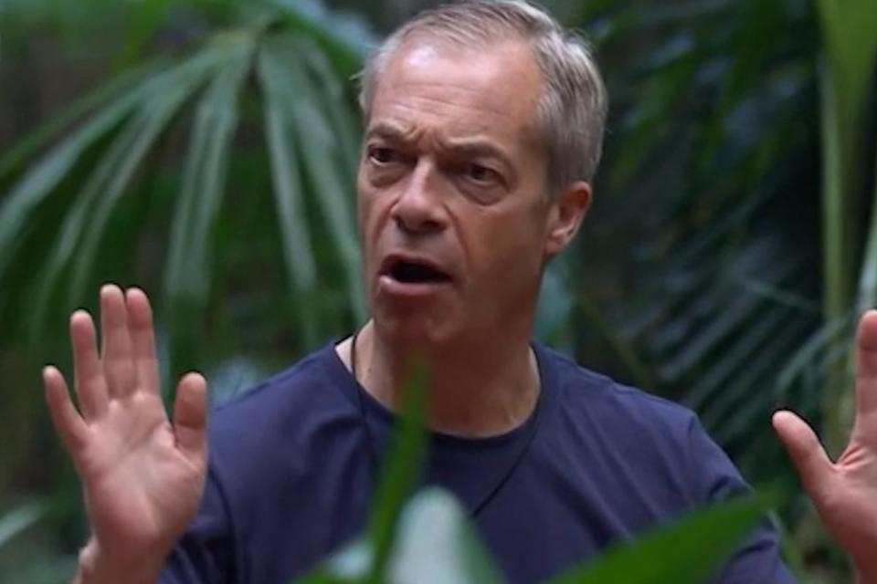 Nigel Farage has repeatedly clashed with fellow I’m a Celeb contestants on politics (ITV)