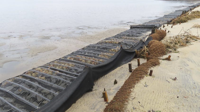 Coir on the bank of the Shark River in Neptune, New Jersey.